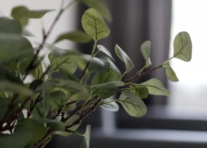 Close-golden - One Bedroom - Rynek Square&widok * Breslau